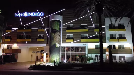 Hotel Indigo Anaheim Maingate | Kaliforniya - Orange County - Anaheim - Anaheim Resort