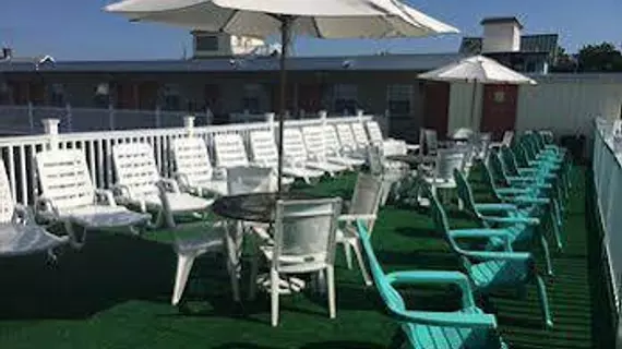 White Marlin Inn | Maryland - Ocean City (ve civarı) - Ocean City