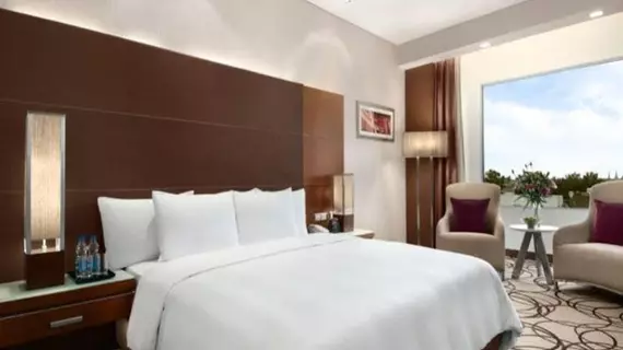 Hotel Delite Grand | Batı Delhi - Ulusal Eyalet Başkenti Delhi - Delhi (ve civarı) - Faridabad