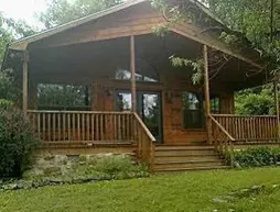 Dragonfly Mountain Lodge | Arkansas - Bentonville - Fayetteville (ve civarı) - Eureka Springs