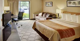 Comfort Inn Simcoe | Ontario - Niagara Regional Belediyesi - Hamilton (ve civarı) - Simcoe