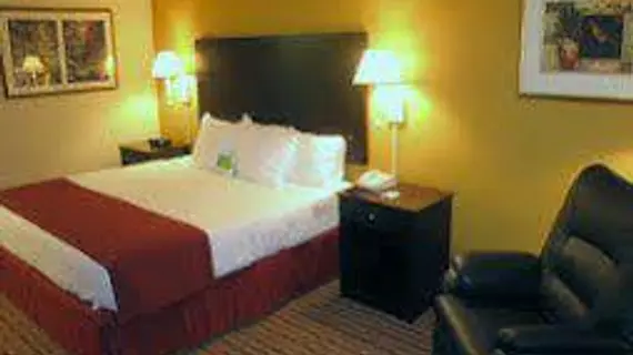 Best Western Plus Bolingbrook | İllinois - Bolingbrook