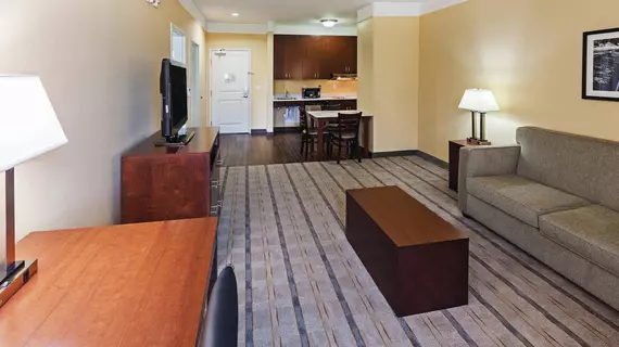 La Quinta Inn & Suites Houston NW Beltway 8/ West RD | Teksas - Houston (ve civarı) - Houston