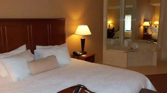 Hampton Inn & Suites Detroit/Chesterfield | Michigan - Detroit (ve civarı) - Chesterfield