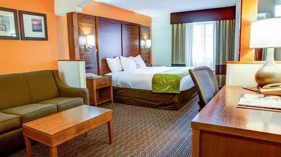 Comfort Suites Stevensville | Michigan - Benton Harbor (ve civarı) - Stevensville