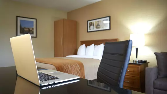 Comfort Inn Edmonton West | Alberta - Edmonton (ve civarı) - Edmonton - West Edmonton