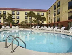 Red Roof Inn Myrtle Beach Hotel - Market Commons | Güney Karolayna - Myrtle Plajı (ve civarı) - Myrtle Beach