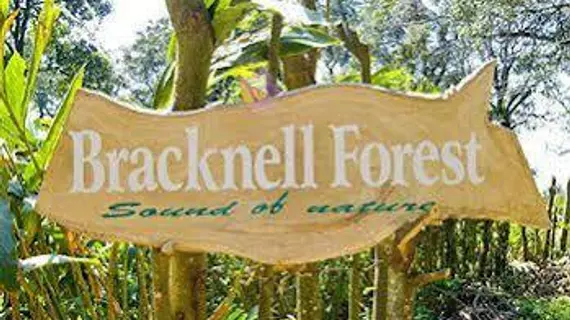 Bracknell Forest | Kerala - Idukki Bölgesi - Devikolam