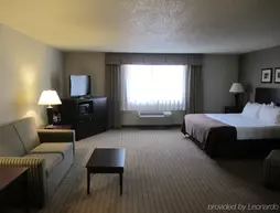 Holiday Inn Elmira-Riverview | New York - Elmira (ve civarı) - Elmira