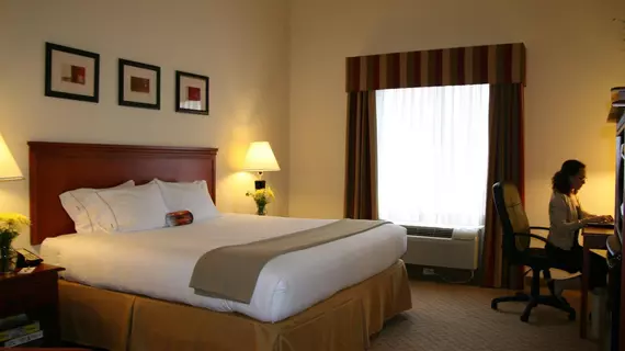 Holiday Inn Express Hotel & Suites Tampa-Fairgrounds-Casino | Florida - Tampa (ve civarı) - Tampa