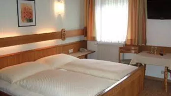 Pension Riedlsperger | Salzburg (eyalet) - Zell am See - Saalbach-Hinterglemm