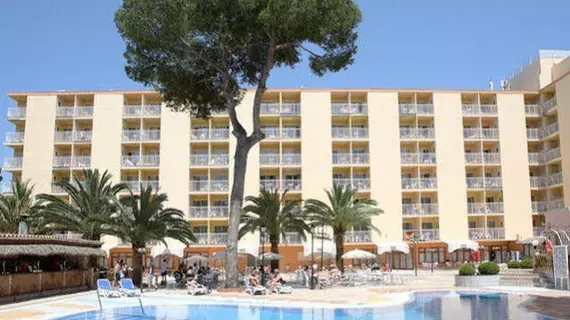 Cook's Club Palma Beach | Balearic Adaları - Mayorka Adası - Campos - Migjorn