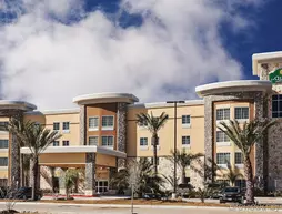 La Quinta Inn and Suites Houston Willowbrook | Teksas - Houston (ve civarı) - Houston - FM 1960 Otoyolu