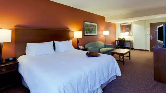 Hampton Inn Waynesboro/Stuarts Draft | Virginia - Staunton (ve civarı) - Fishersville