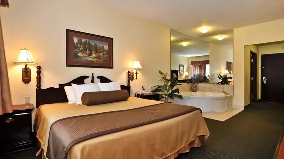 Best Western Plus Sam Houston Inn & Suites | Teksas - Houston (ve civarı) - Houston