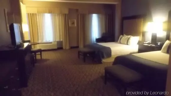 Holiday Inn Hotel & Suites Detroit Metro Airport | Michigan - Detroit (ve civarı) - Romulus