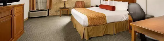 Best Western Plus Posada Ana Inn Medical Center | Teksas - San Antonio (ve civarı) - San Antonio