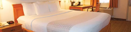 La Quinta Inn San Antonio Market Square | Teksas - San Antonio (ve civarı) - San Antonio - San Antonio Merkezi