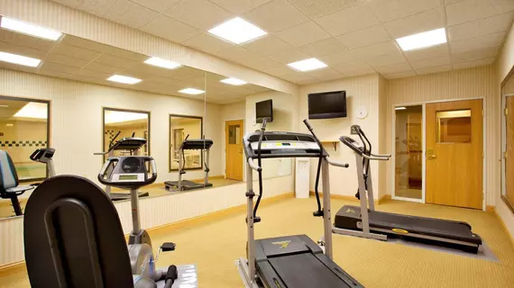 Holiday Inn Express Hotel & Suites Logansport | Indiana - Kokomo (ve civarı) - Logansport