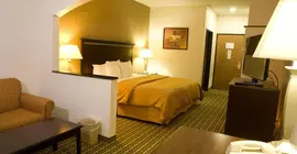 Comfort Suites Burleson - South Fort Worth | Teksas - Fort Worth (ve civarı) - Burleson