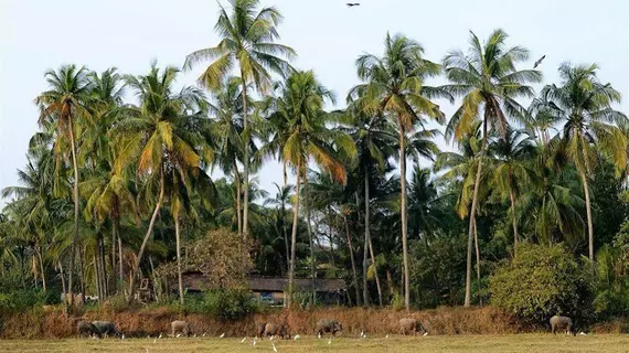 Om Lake Resort | Goa - Kuzey Goa - Arambol