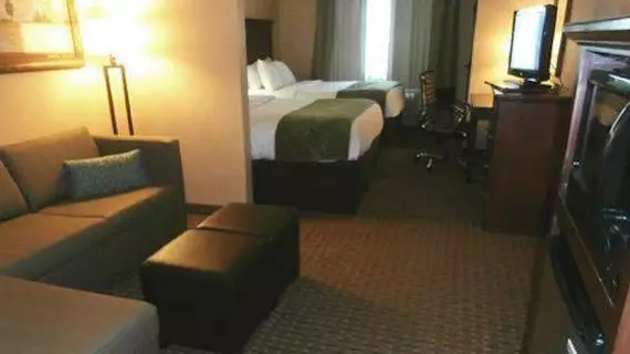 Comfort Suites - Columbia | Missouri - Columbia (ve civarı) - Columbia