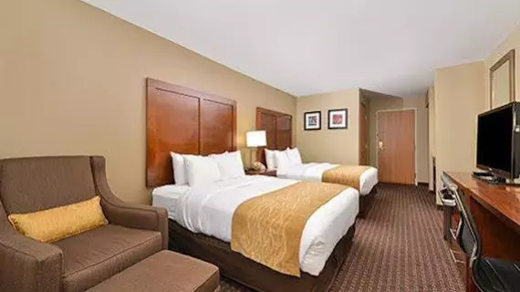 Comfort Inn & Suites Riverview | Iowa - Quad Cities (ve civarı) - Le Claire