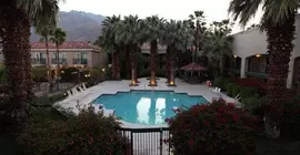 Ivy Palm Resort and Spa | Kaliforniya - Imperial County - Palm Springs (ve civarı) - Palm Springs