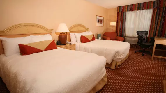 Hilton Garden Inn Orlando at SeaWorld | Florida - Orlando (ve civarı) - International Drive