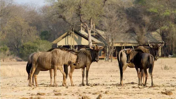 Rhino Walking Safaris | Mpumalanga - Mbombela - Kruger National Park