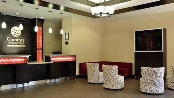 Comfort Inn & Suites Mansfield | Louisiana - Mansfield