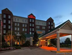 Hilton Garden Inn Lafayette/Cajundome | Louisiana - Lafayette (ve civarı) - Lafayette