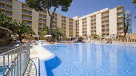 Cook's Club Palma Beach | Balearic Adaları - Mayorka Adası - Campos - Migjorn