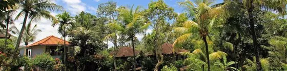 Bucu View Bungalow | Bali - Ubud - Ubud Kent Merkezi