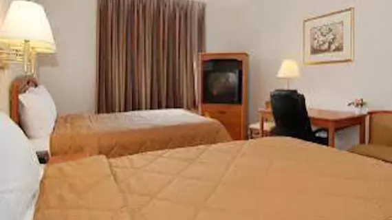 Comfort Inn Mundelein | İllinois - Mundelein