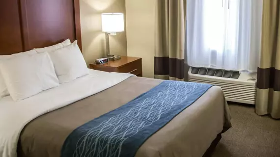 Comfort Inn Gurnee | İllinois - Gurnee