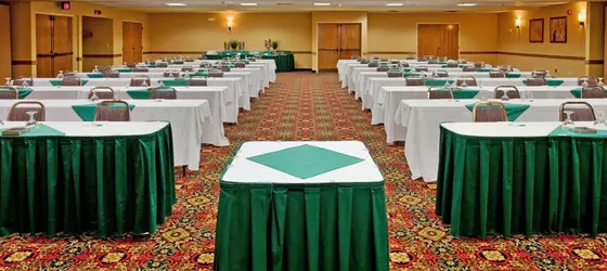 Holiday Inn Hotel & Suites Springfield | Missouri - Springfield (ve civarı) - Springfield