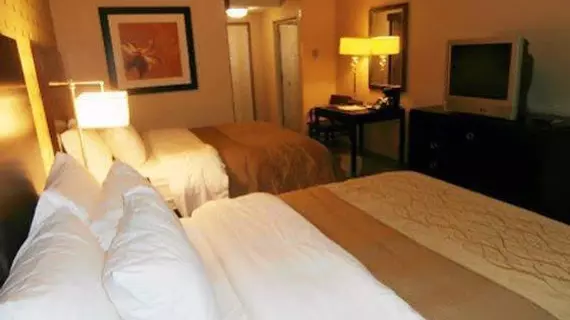 Comfort Inn Bloomington | Indiana - Bloomington (ve civarı) - Bloomington