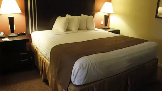 Best Western Airport Inn | Louisiana - Monroe (ve civarı) - Monroe