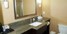 Holiday Inn Express Hotel & Suites Clemson - University Area | Güney Karolayna - Anderson (ve civarı) - Clemson