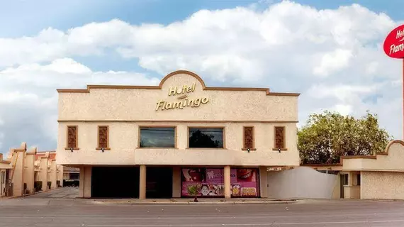 Hotel Flamingo Juarez | Chihuahua - Ciudad Juarez