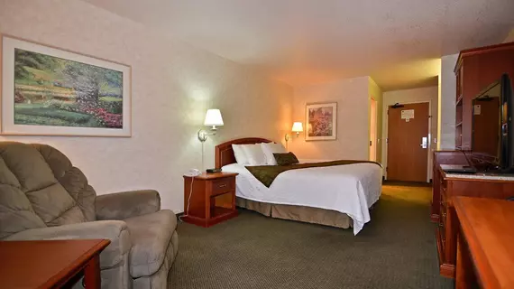 Best Western Plus Twin Falls Hotel | Idaho - Twin Falls (ve civarı) - Twin Falls