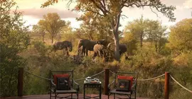 Hoyo Hoyo Safari Lodge | Mpumalanga - Mbombela - Kruger National Park