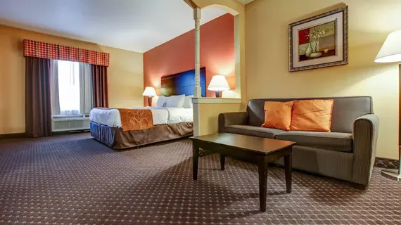 Comfort Suites At Rivergate Mall | Tennessee - Nashville-Davidson - Nashville (ve civarı) - Goodlettsville