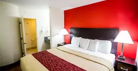 Red Roof Inn Austin - Round Rock | Teksas - Austin (ve civarı) - Round Rock