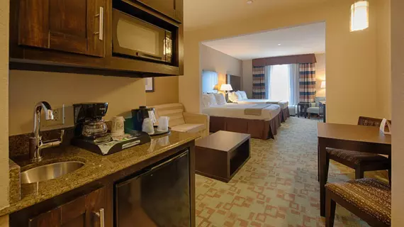 Holiday Inn Express & Suites Houston NW Beltway 8-West Road | Teksas - Houston (ve civarı) - Houston