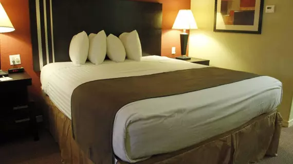 Best Western Airport Inn | Louisiana - Monroe (ve civarı) - Monroe