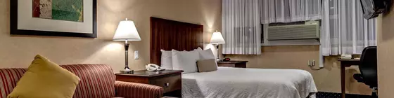 Best Western Plus Suites Downtown Calgary | Alberta - Calgary (ve civarı) - Calgary - Beltline