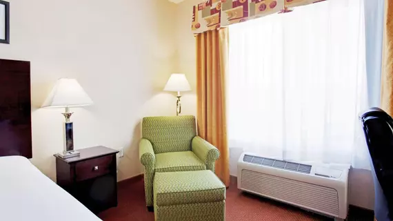 Holiday Inn Express Hotel & Suites Minden | Nevada - Carson City (ve civarı) - Minden