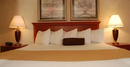 Best Western East Towne Suites | Wisconsin - Madison (ve civarı) - Madison